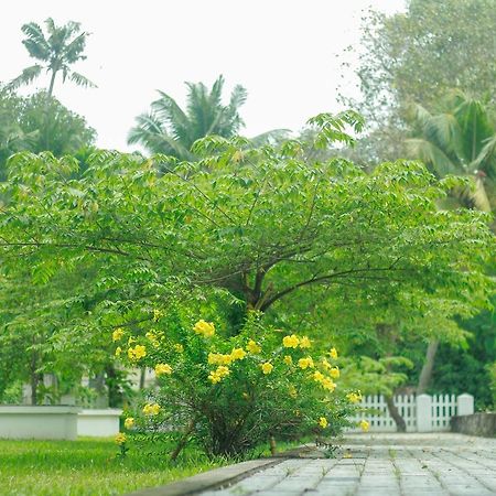 فندق Kochiفي  Muziris Harbour View المظهر الخارجي الصورة