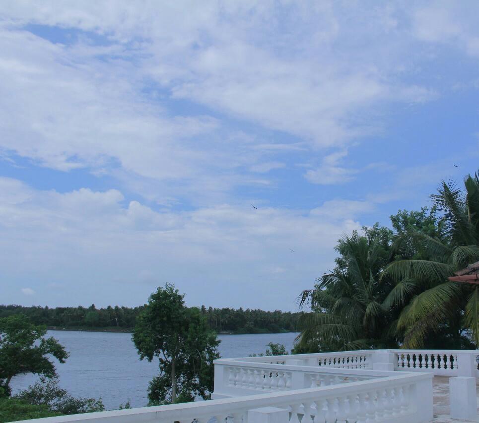 فندق Kochiفي  Muziris Harbour View المظهر الخارجي الصورة